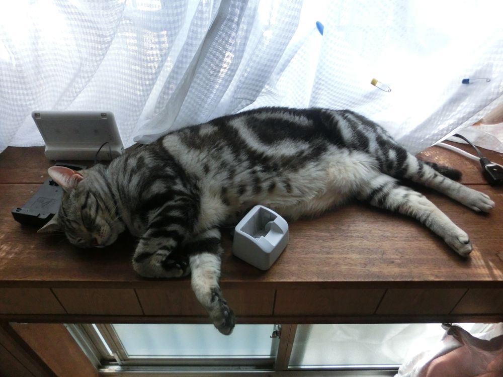 http://village-diary.com/blog/catsbonfamily/picts/140602pict1.jpg