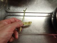 140719edamame4.jpg